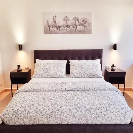 Casablanca Apartment